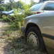 Image for article titled A Michigan Town Is Forcing This Man To Sell 20 Old Cars Off His Property Every Month
